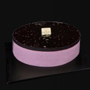 Blueberry Mousse Cake